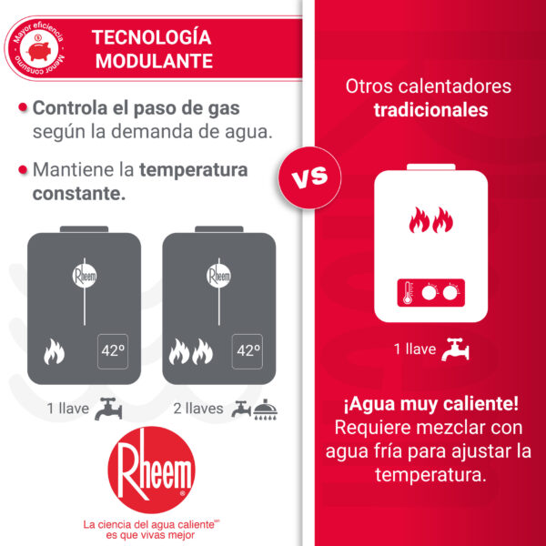 Calentador_Rheem_10_litros_caracteristicas3_digital